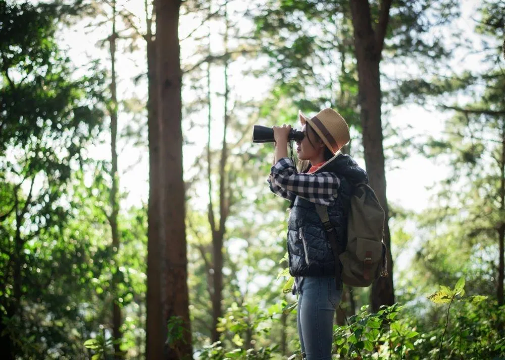 hill stations to visit 