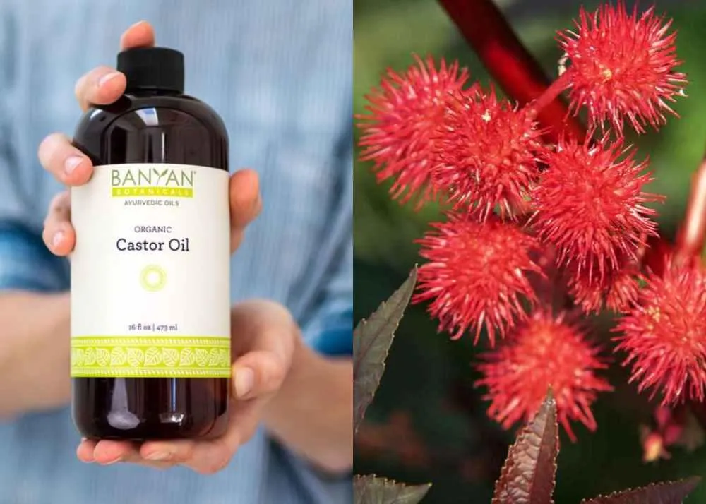 castor oil benefits