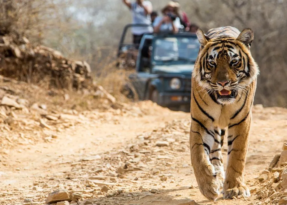 Paramikulmam Wildlife Sanctuary