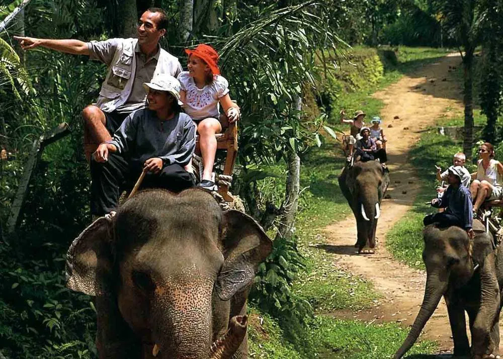 national parks in kerala