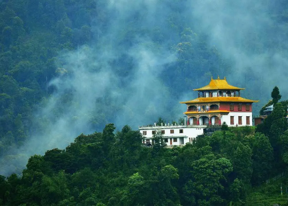 Tashi Viewpoint