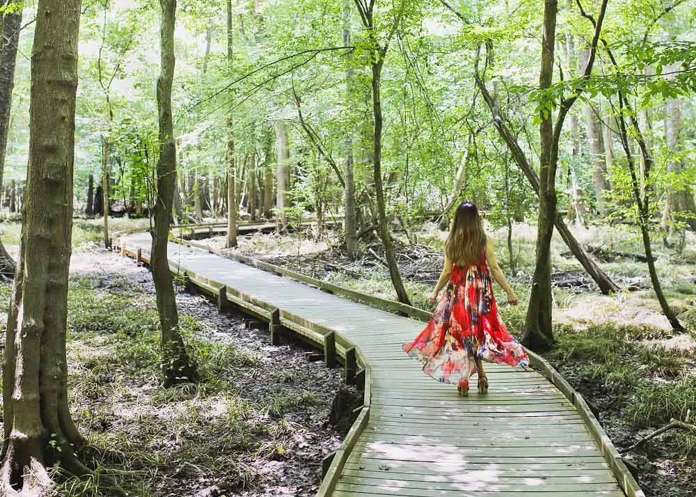 Congaree National Park 