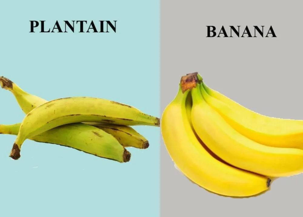 foods that look similar