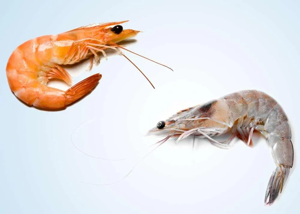 foods that look similar 