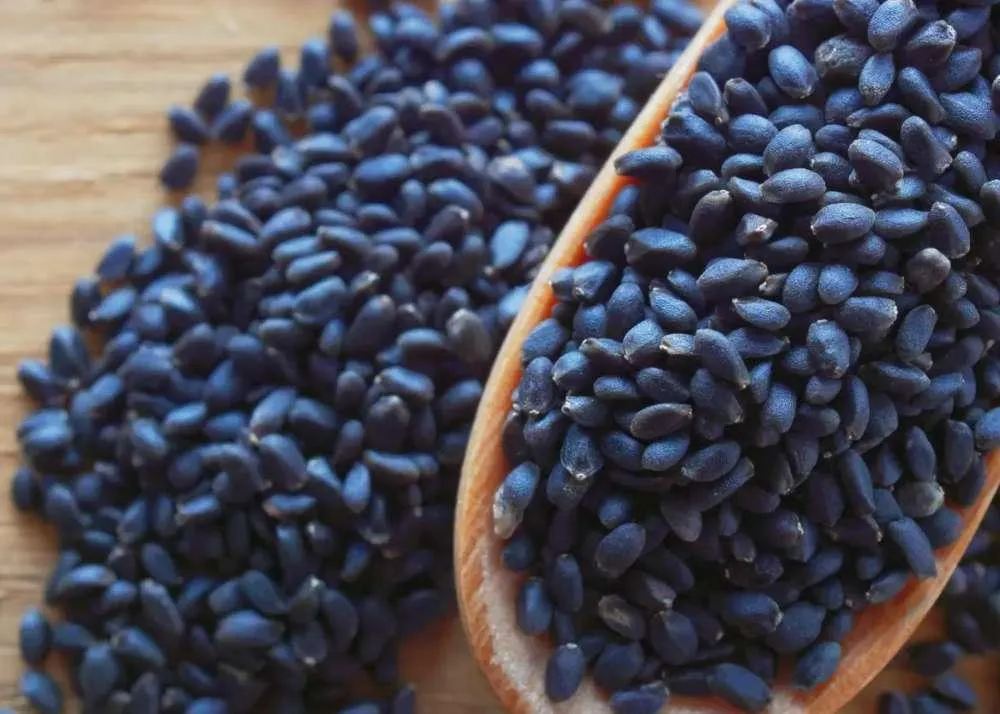 sabja seeds benefits