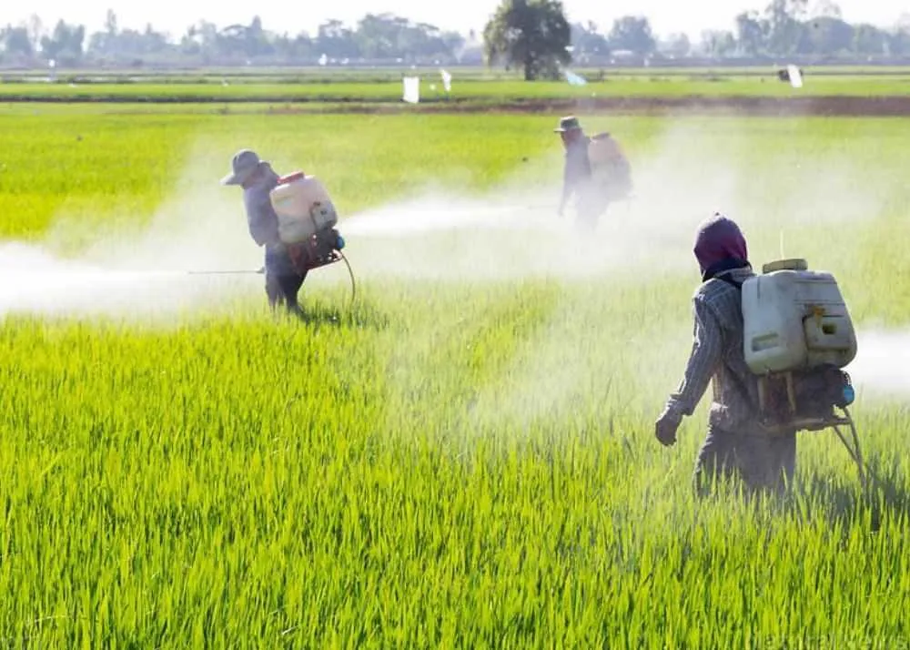 sri lanka economic crisis 