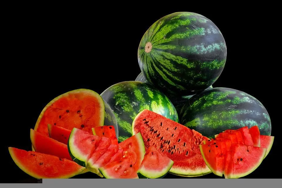 Watermelon Benefits: 7 Reasons to Add Tarbuz to Your Summer Diet