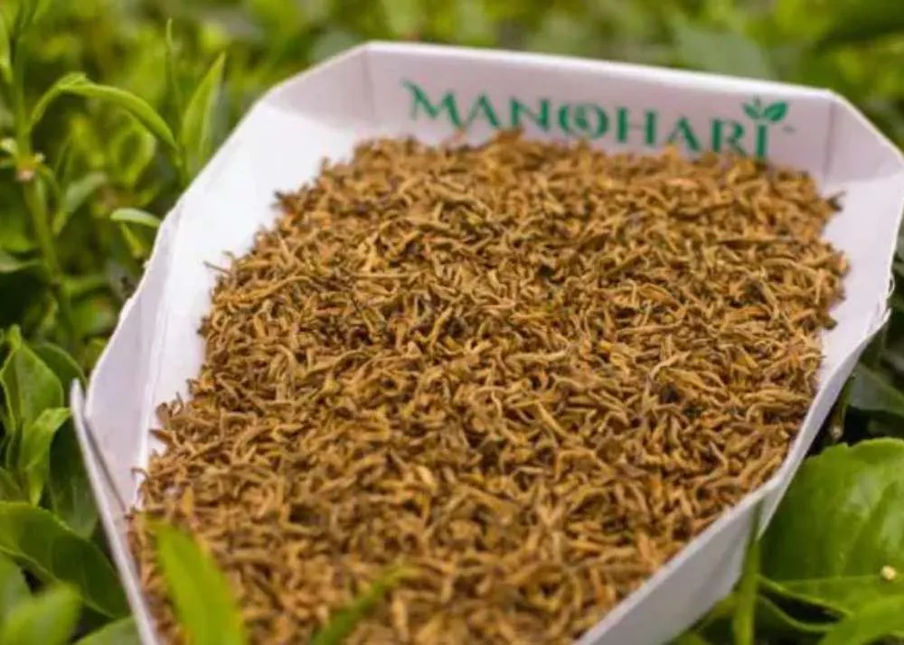 manohari gold tea price