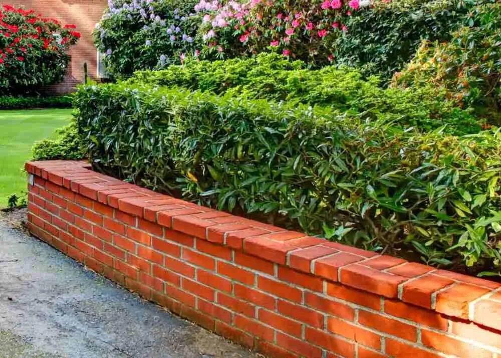 Budget-Friendly Garden Edging Ideas