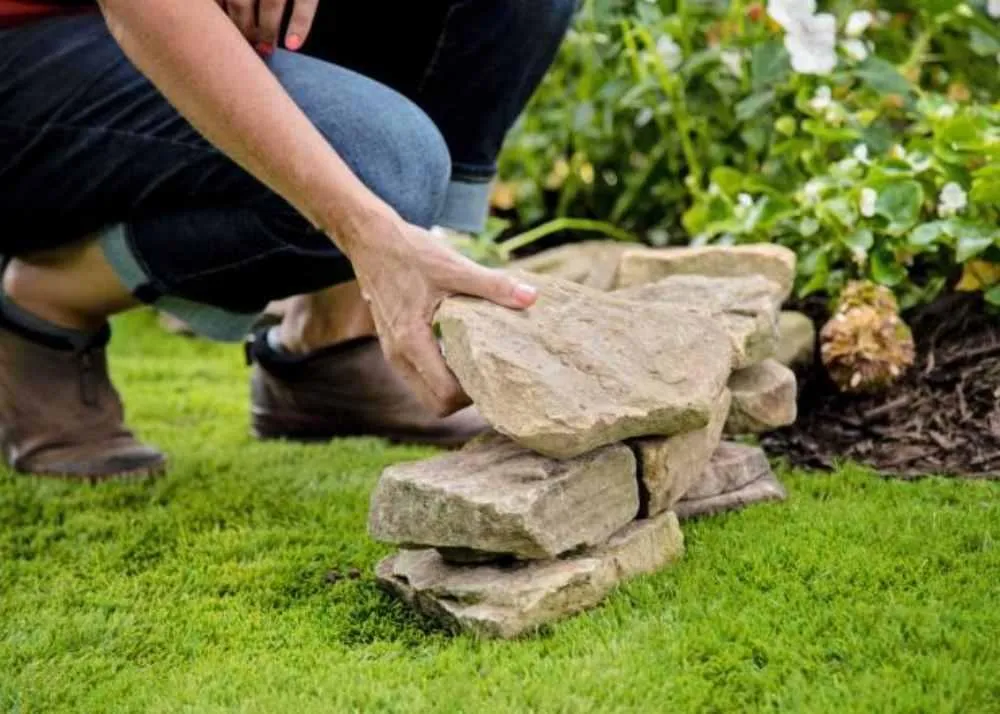 Budget-Friendly Garden Edging Ideas