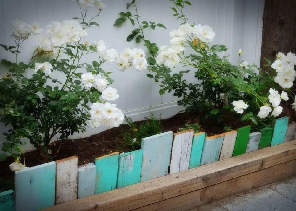 Budget-Friendly Garden Edging Ideas