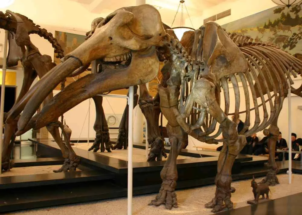 is ramayan real story