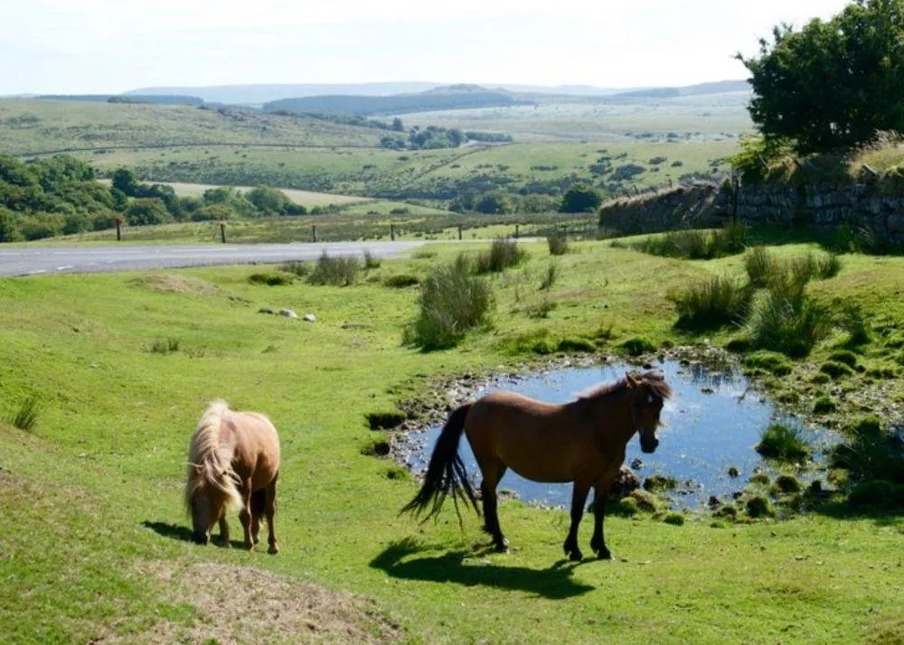 Secret places where aliens were sighted