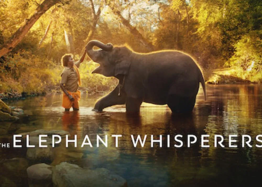 The Elephant Whisperers
