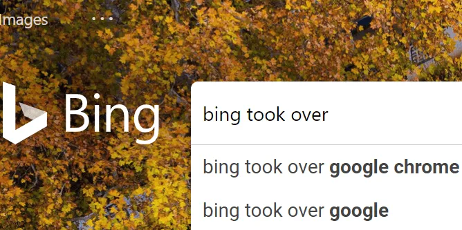 bing