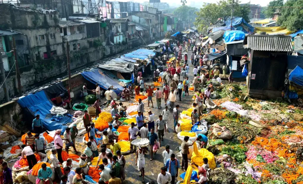 Mullick Ghat Flower market