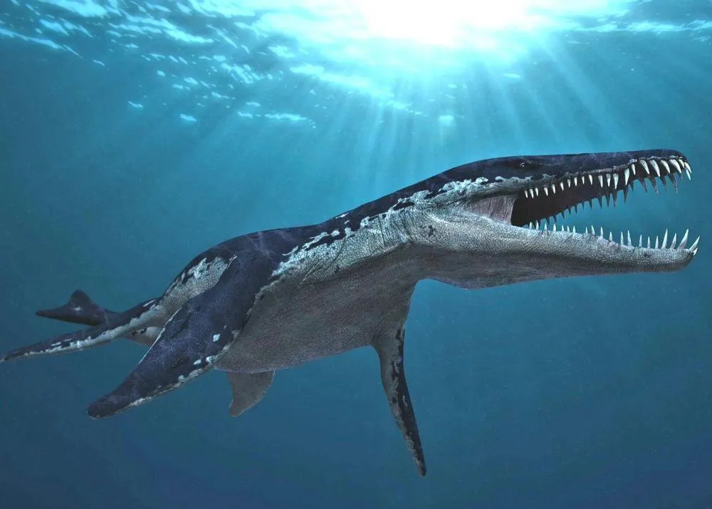 Giant Reptiles Pliosaur of Jurassic Sea Twice the Size of Killer Whale