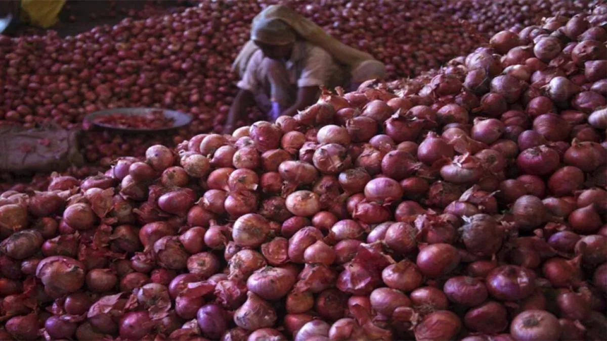 Onion prices