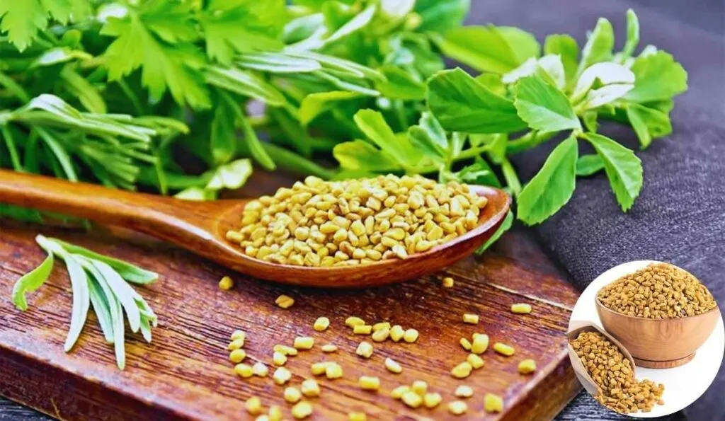 Fenugreek seeds