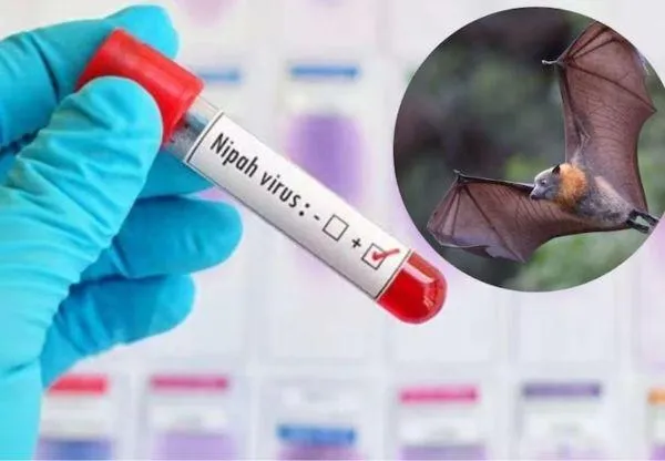 Bangladeshi variant of Nipah Virus found in Kerala