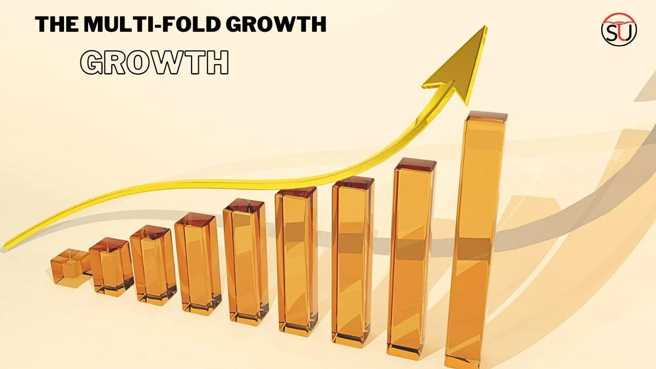 The Multi-fold Growth Stock 
