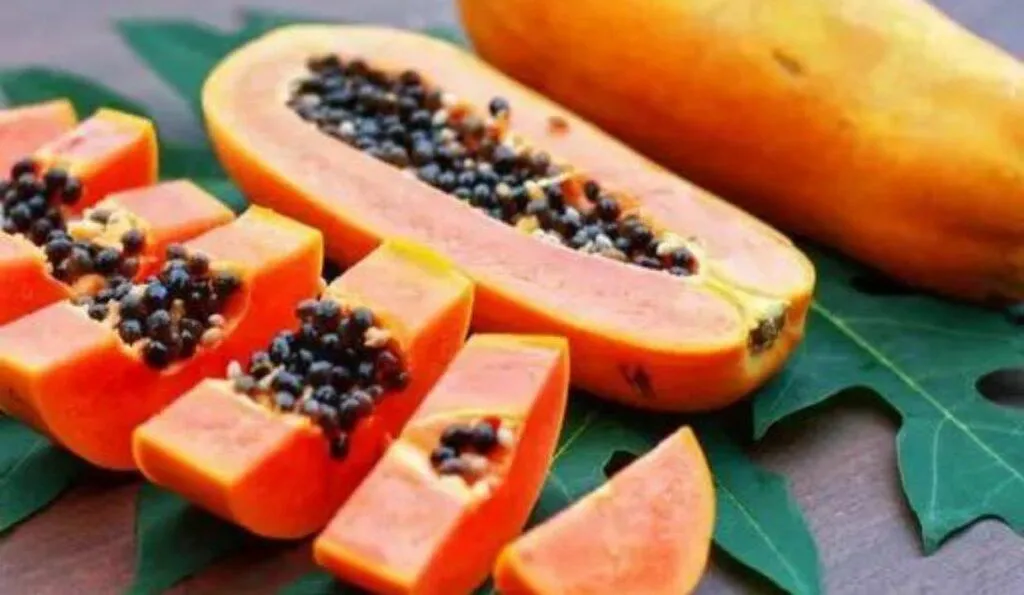 Papaya