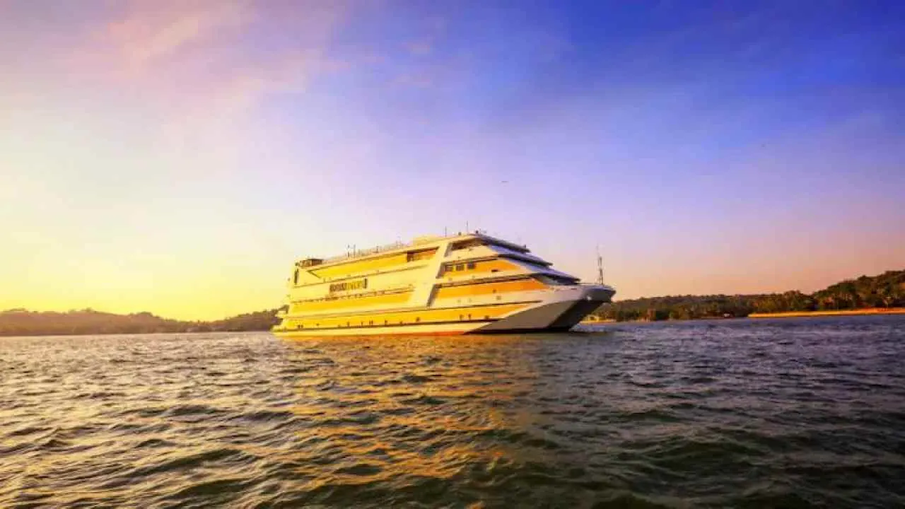 Board Decisions and Appointments: