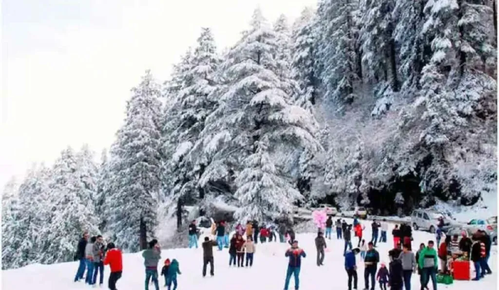 Kufri Himachal Pradesh