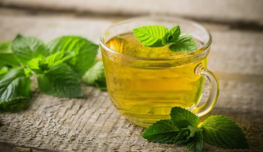 Mint tea