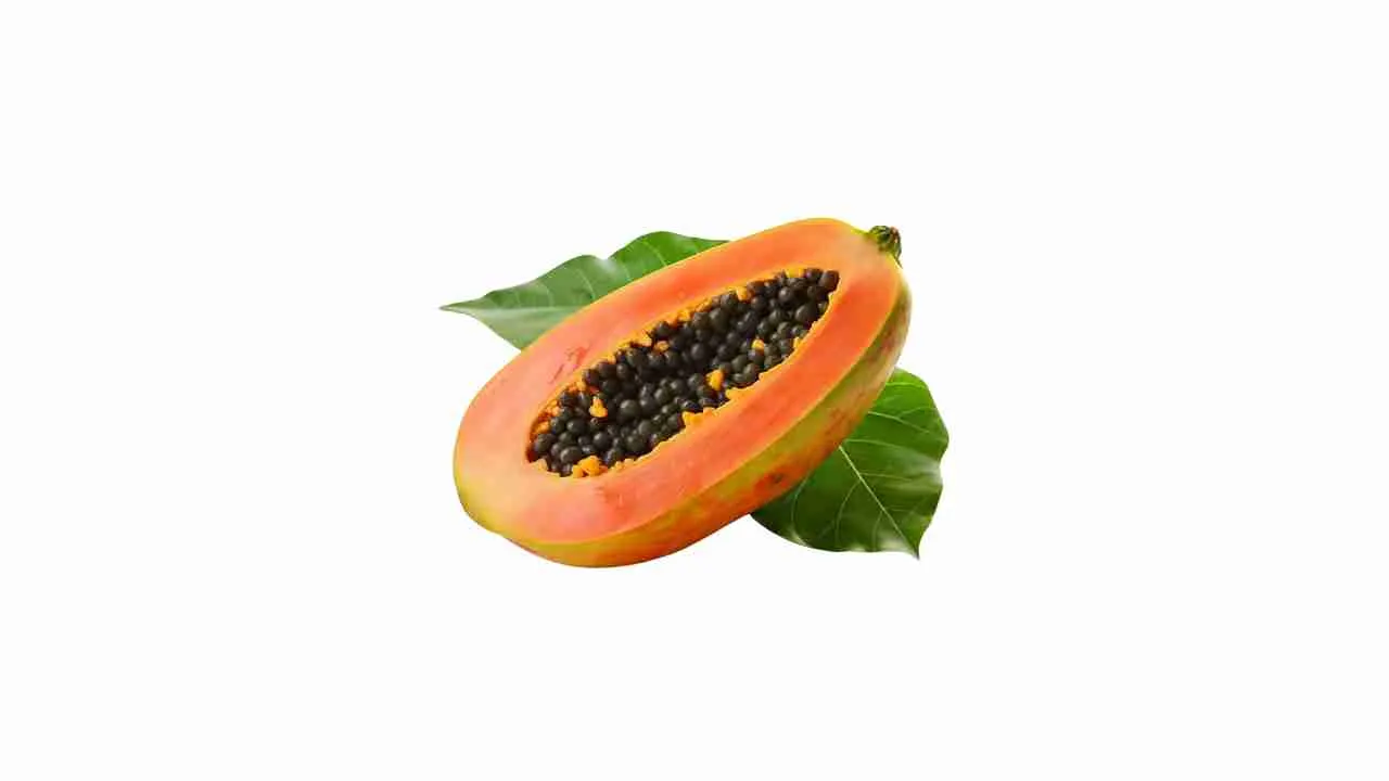 Papaya