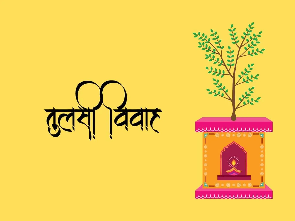 When is Tulsi Vivah 2023 - November 23 or 24? Know exact date and shubh muhurat | Spirituality News - News9live