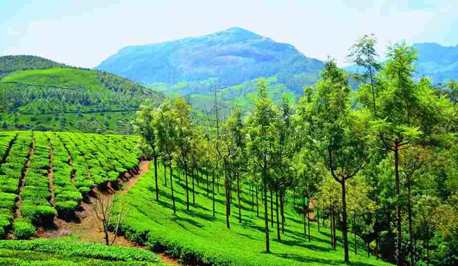Munnar