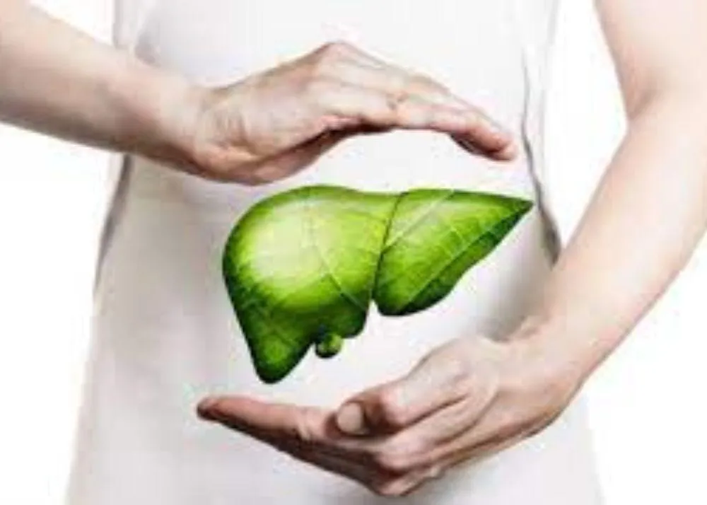 Matcha Tea Health Benefit