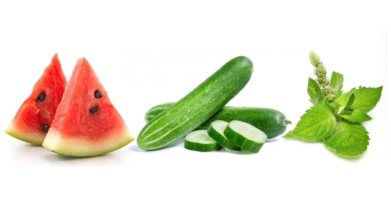 Foods to Eat in Summer Diet