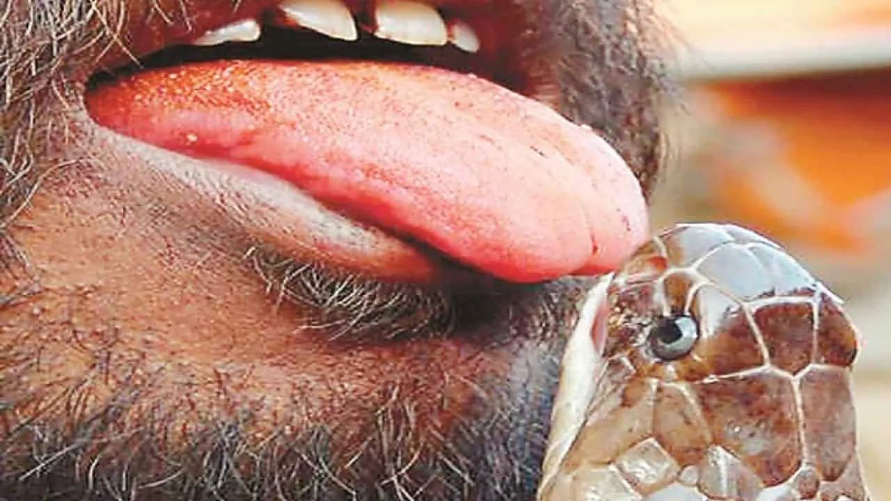 Elvish Yadav Snake Venom Case