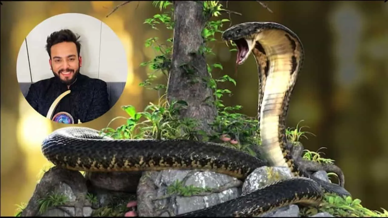 Elvish Yadav Snake Venom Case