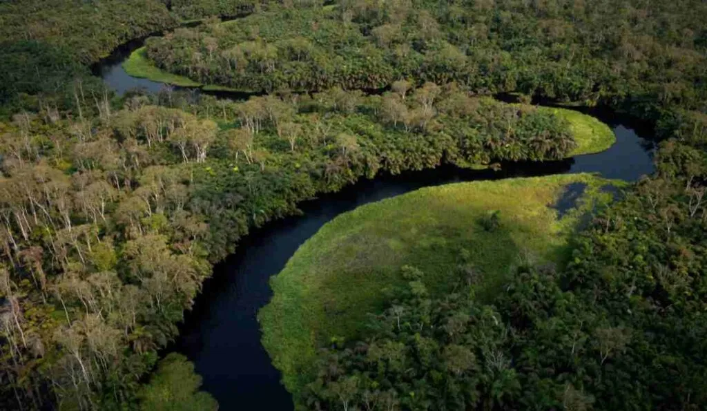 Geographic area of the Congo Forest