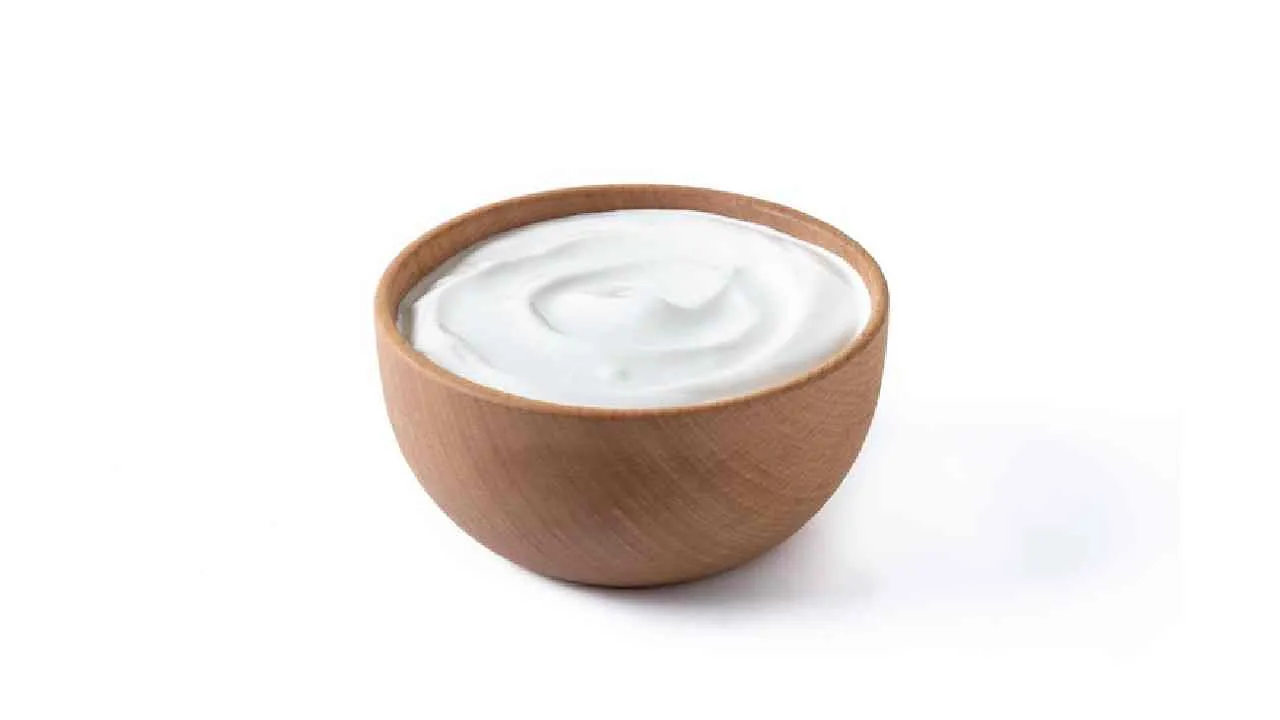 Greek Yogurt