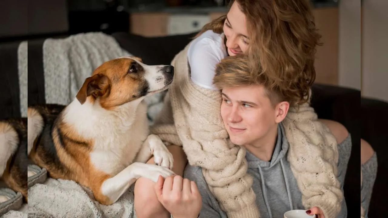 Stress reduction from Pet Parent