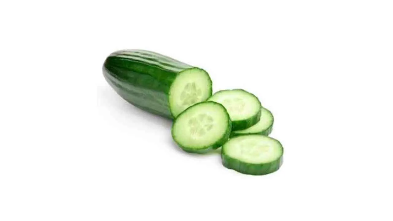 Cool as a Cucumber: Hydration Champion