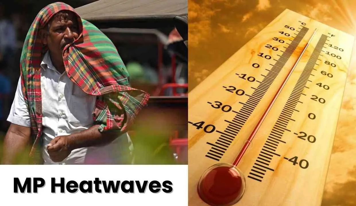 MP Heatwaves