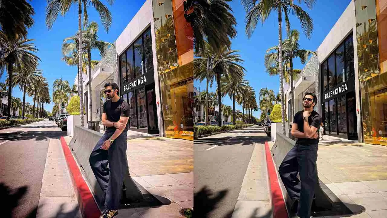 Vishal Singh told that he was starting to get bored working on TV. In such a situation, he thought of breaking the cycle and shifting to work abroad.