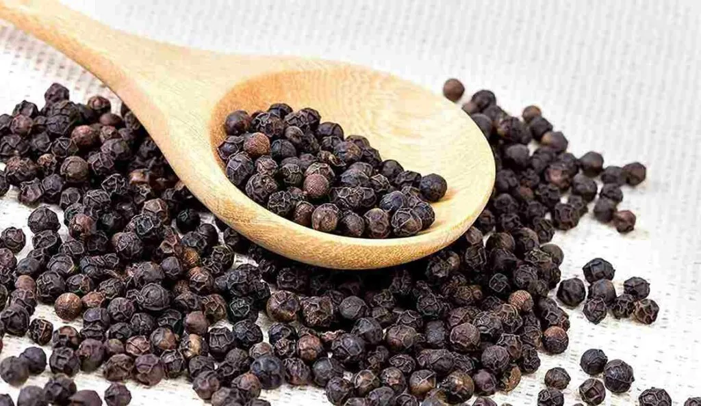 Black pepper