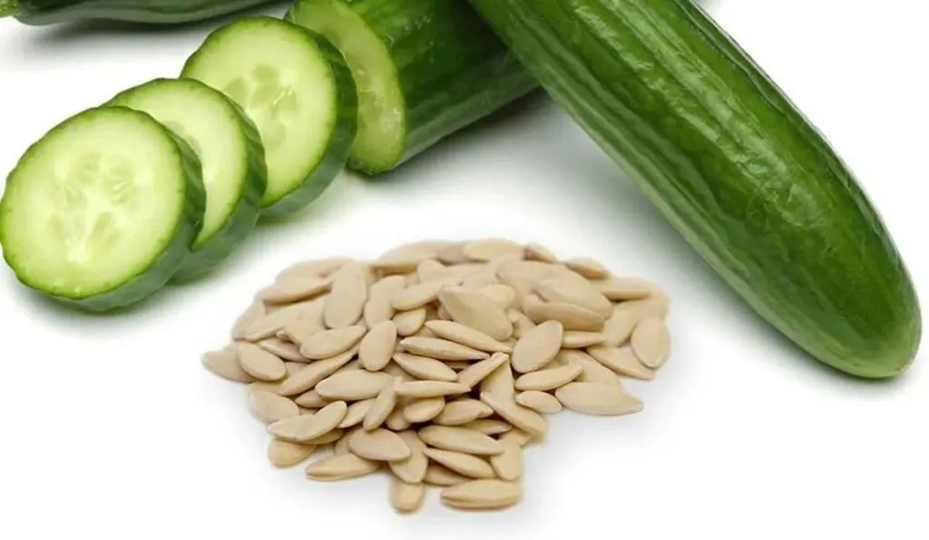 Cucumber Seeds