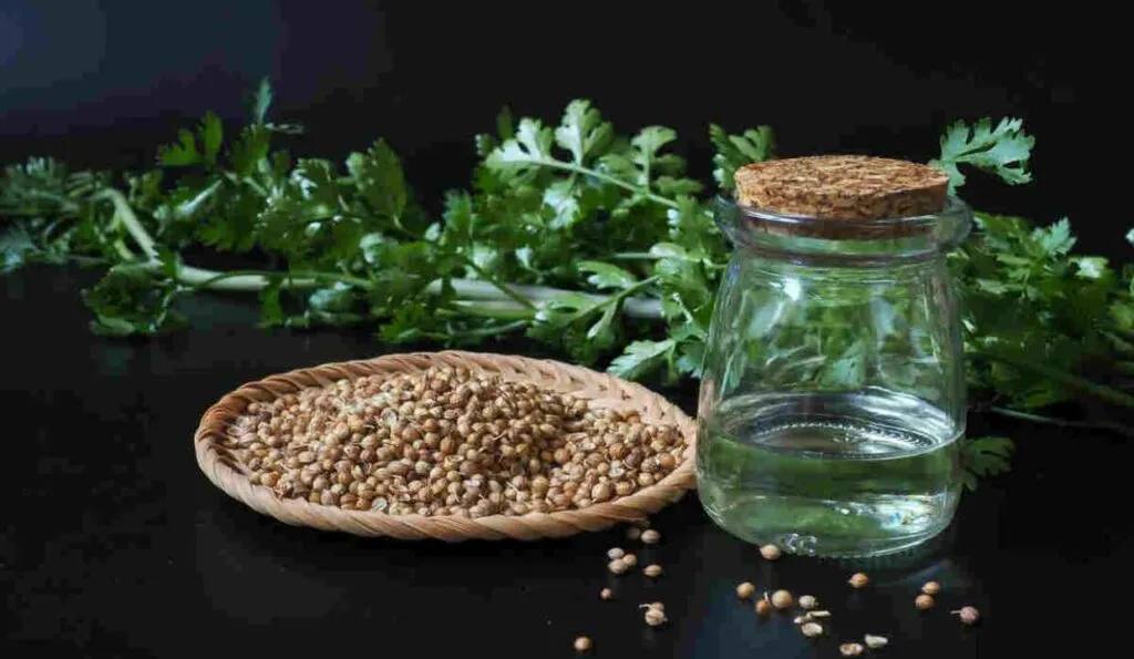 Coriander Seed