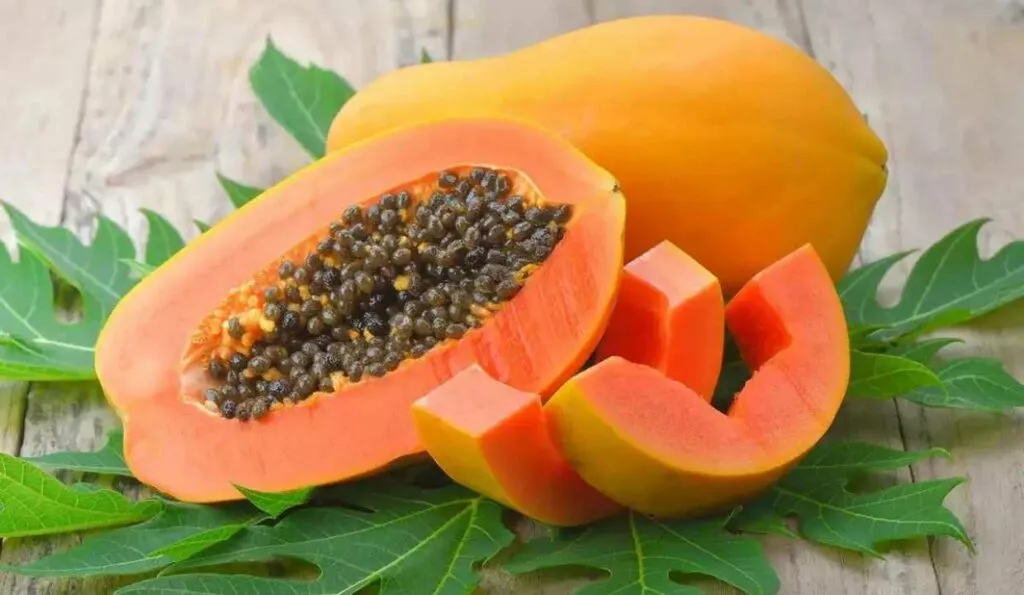 Papaya