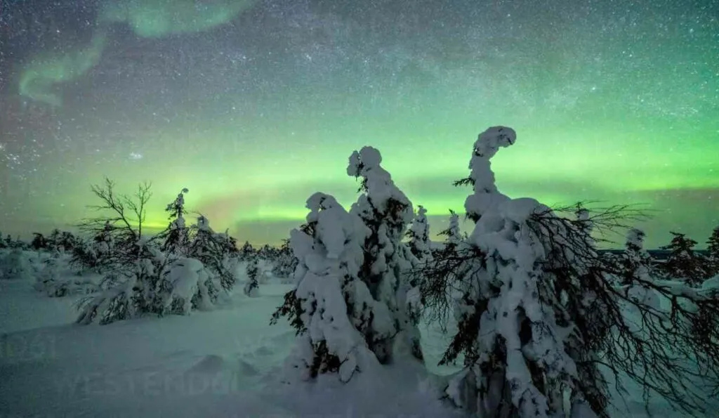 Pallas-Yllas Tunturi National Park