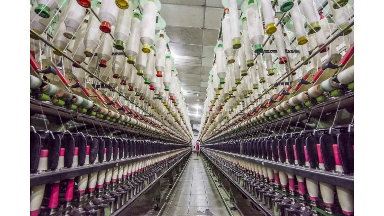 Borana Weaves Limited IPO