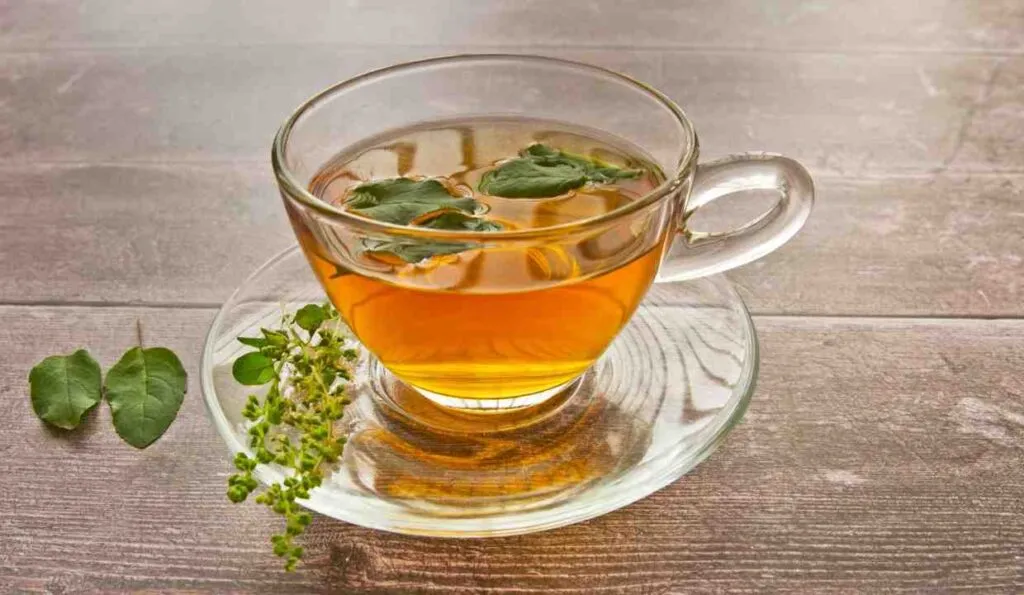 Tulsi Tea