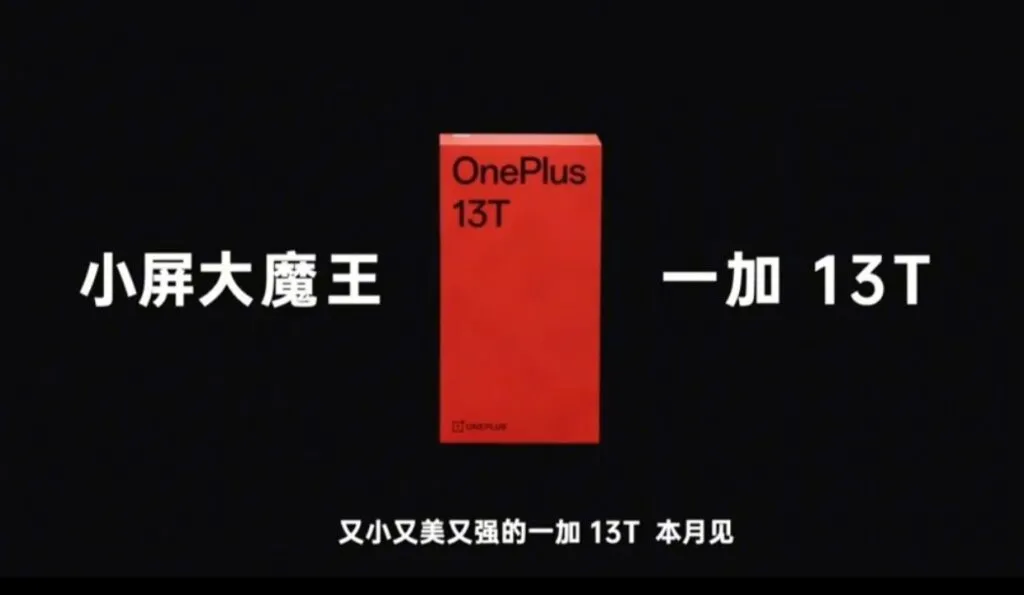 OnePlus 13T